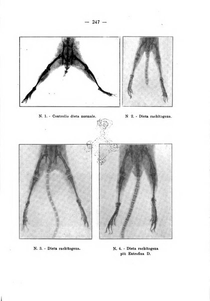 La pediatria pratica sezione pratica dell'archivio La clinica pediatrica