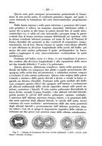 giornale/PUV0126474/1934/unico/00000263