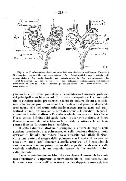 La pediatria pratica sezione pratica dell'archivio La clinica pediatrica