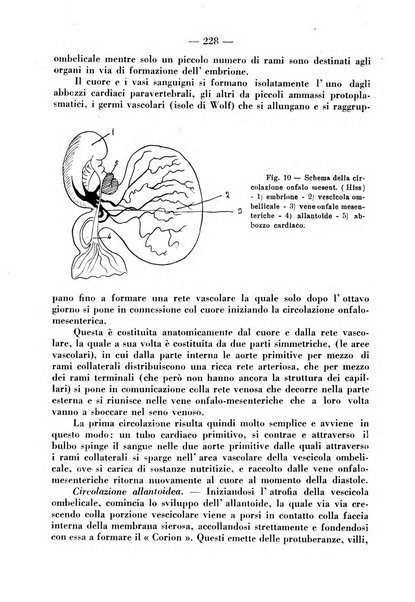 La pediatria pratica sezione pratica dell'archivio La clinica pediatrica