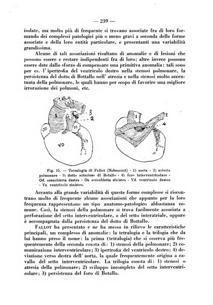 La pediatria pratica sezione pratica dell'archivio La clinica pediatrica