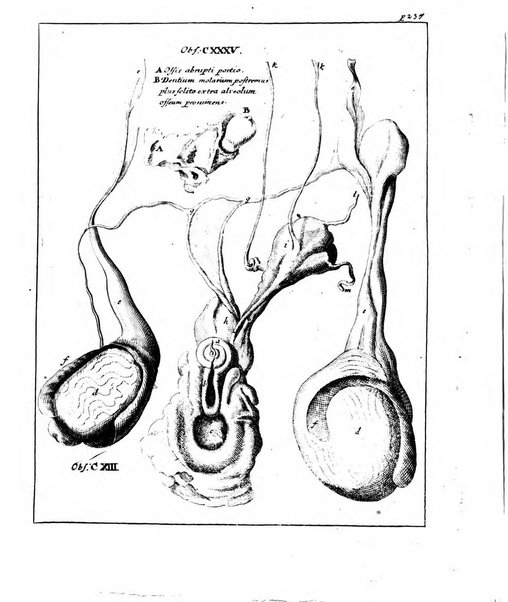 Academiae Caesareo-Leopoldinae naturae curiosorum ephemerides, sive Observationum medico.phisicarum ...