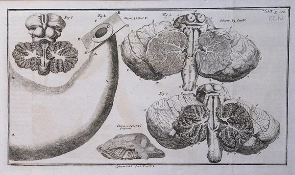 Academiae Caesareo-Leopoldinae naturae curiosorum ephemerides, sive Observationum medico.phisicarum ...