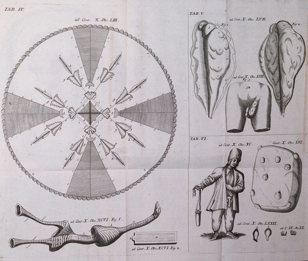 Academiae Caesareo-Leopoldinae naturae curiosorum ephemerides, sive Observationum medico.phisicarum ...