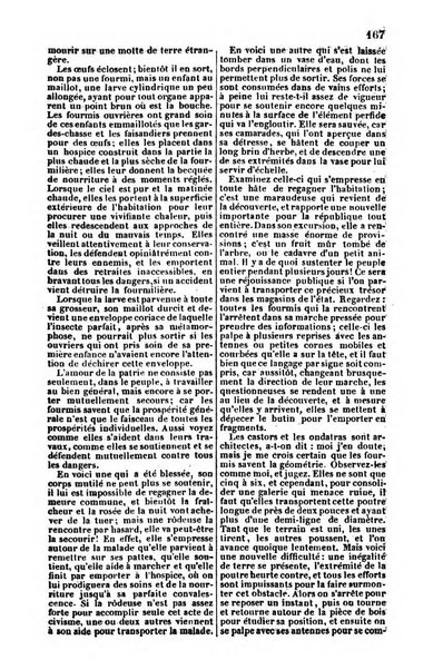 L'agriculteur praticien revue de l'agriculture francaise et etrangere