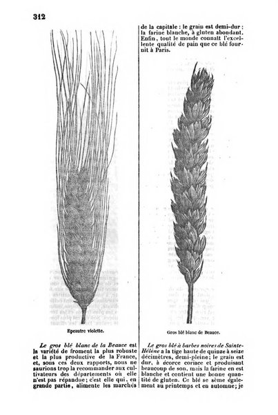 L'agriculteur praticien revue de l'agriculture francaise et etrangere