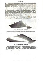 giornale/PUV0126547/1844-1845/unico/00000333