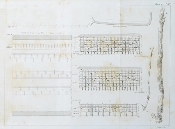 L'agriculteur praticien revue de l'agriculture francaise et etrangere