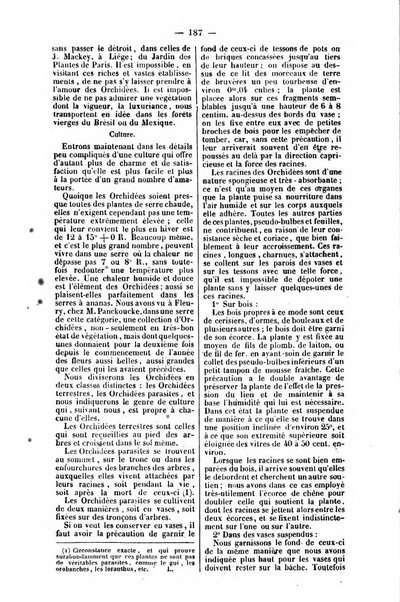 L'agriculteur praticien revue de l'agriculture francaise et etrangere