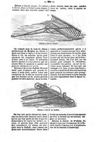 giornale/PUV0126547/1848-1849/unico/00000272