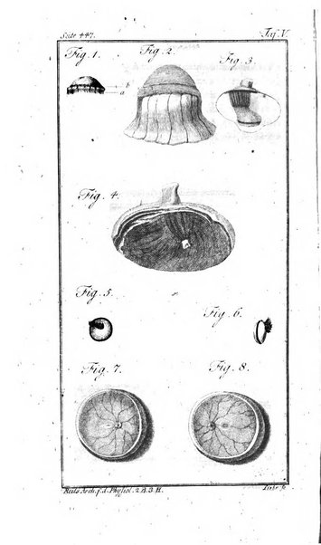 Archiv fur die Physiologie