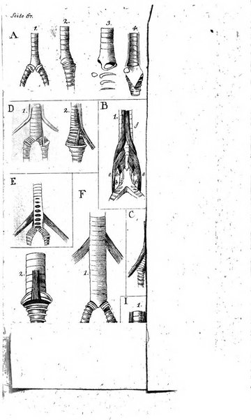 Archiv fur die Physiologie