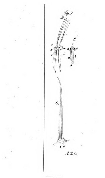 Archiv fur die Physiologie