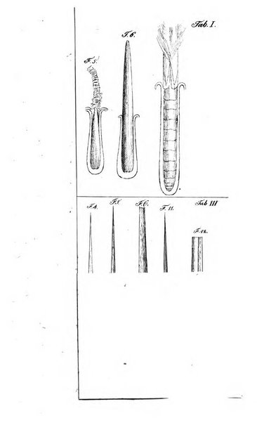 Archiv fur die Physiologie