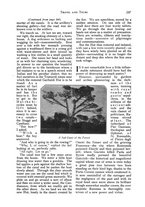giornale/PUV0127723/1929/v.2/00000335