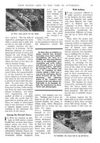 giornale/PUV0127723/1931/unico/00000387