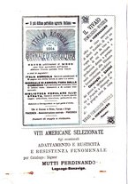 giornale/PUV0128346/1894/unico/00000038