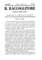 giornale/PUV0128346/1894/unico/00000085