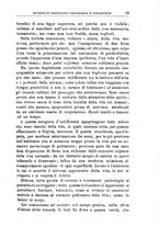 giornale/PUV0128841/1919/unico/00000029