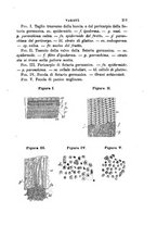 giornale/PUV0129533/1888/v.1/00000225