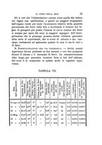 giornale/PUV0129533/1890/v.1/00000041