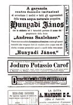 giornale/PUV0129533/1893/v.2/00000306