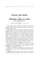 giornale/PUV0129537/1904-1905/unico/00000065