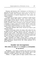 giornale/PUV0129537/1910/unico/00000103