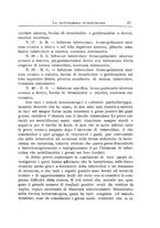 giornale/PUV0129537/1915-1917/unico/00000031