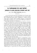 giornale/PUV0129537/1915-1917/unico/00000039