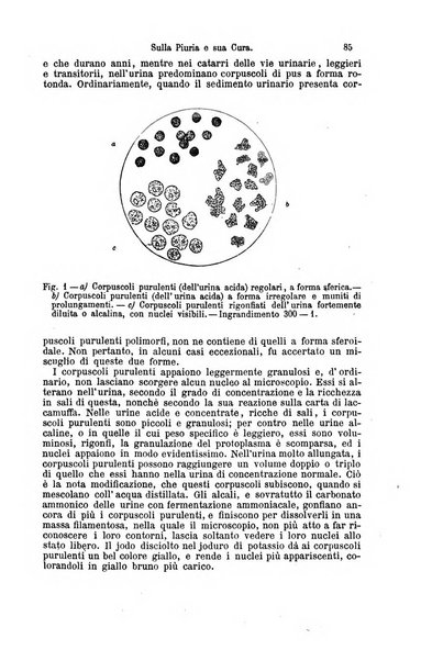 La clinica di Vienna monografie su tutto il campo della medicina pratica