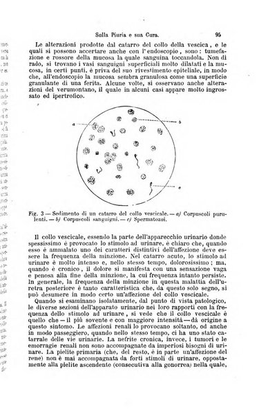 La clinica di Vienna monografie su tutto il campo della medicina pratica