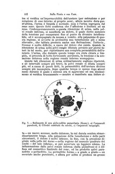 La clinica di Vienna monografie su tutto il campo della medicina pratica