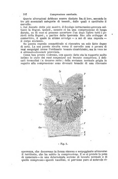 La clinica di Vienna monografie su tutto il campo della medicina pratica