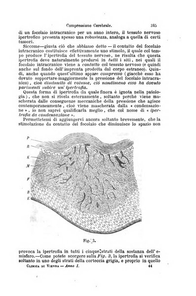 La clinica di Vienna monografie su tutto il campo della medicina pratica