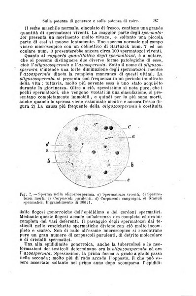 La clinica di Vienna monografie su tutto il campo della medicina pratica