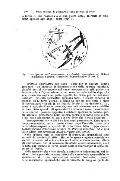 La clinica di Vienna monografie su tutto il campo della medicina pratica