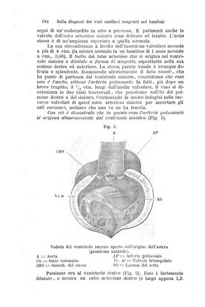 La clinica di Vienna monografie su tutto il campo della medicina pratica