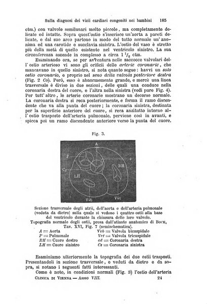 La clinica di Vienna monografie su tutto il campo della medicina pratica