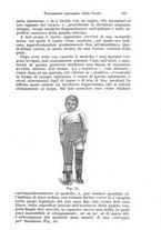 giornale/PUV0129578/1893/unico/00000143