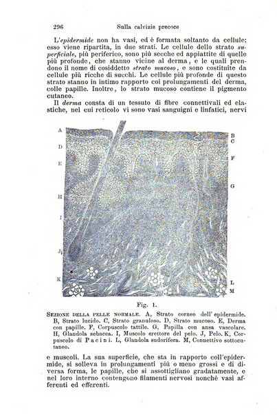 La clinica di Vienna monografie su tutto il campo della medicina pratica