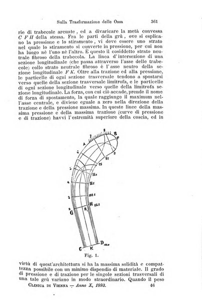 La clinica di Vienna monografie su tutto il campo della medicina pratica