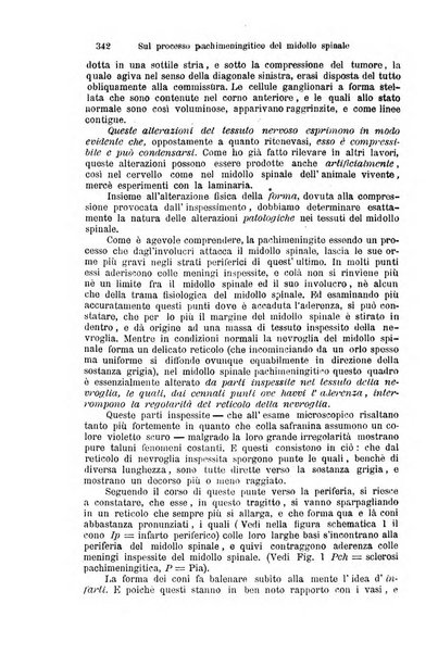 Clinica internazionale monografie su questioni cliniche contemporanee e controverse