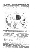 giornale/PUV0129607/1890/unico/00000351