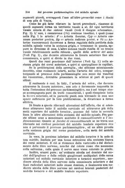 Clinica internazionale monografie su questioni cliniche contemporanee e controverse