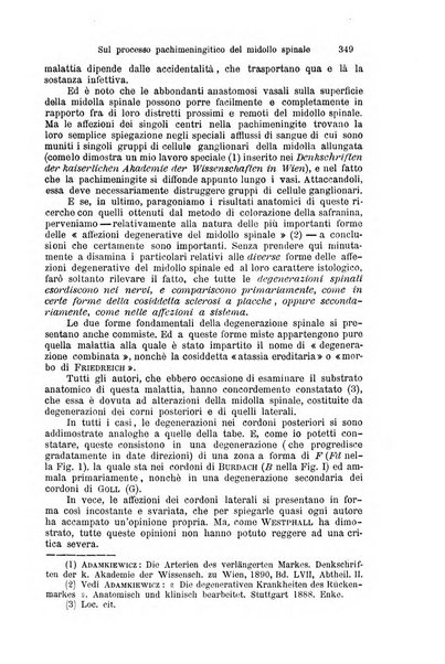 Clinica internazionale monografie su questioni cliniche contemporanee e controverse