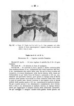 giornale/PUV0140996/1910/V.1/00000033