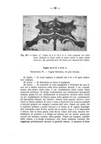 giornale/PUV0140996/1910/V.1/00000036