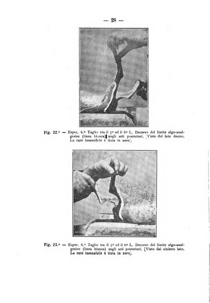 Archivio di farmacologia sperimentale e scienze affini