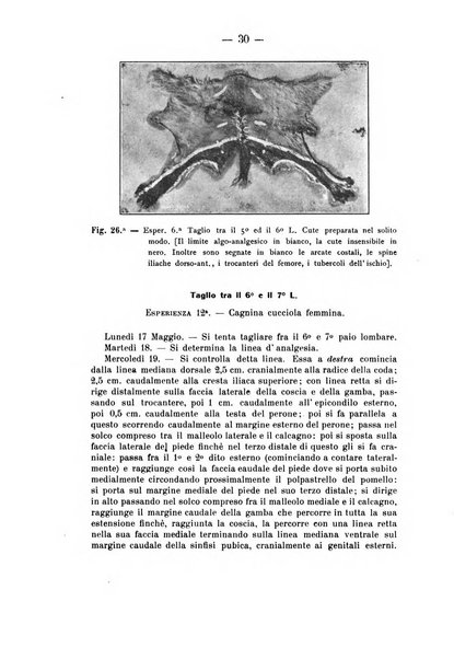 Archivio di farmacologia sperimentale e scienze affini